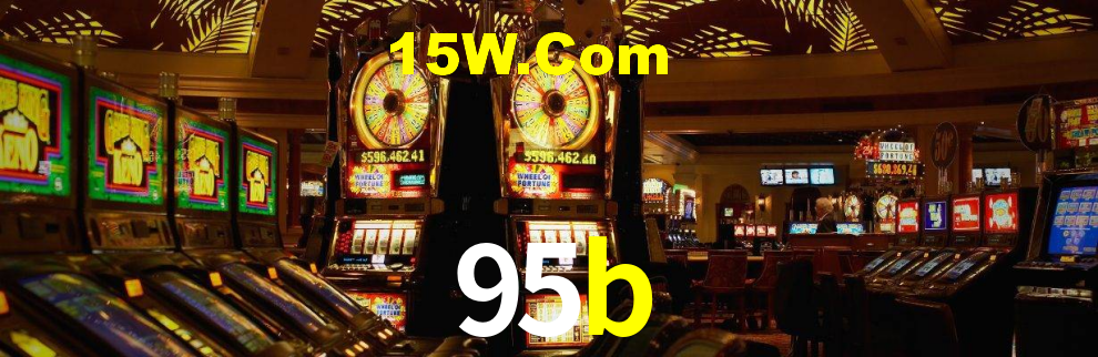 95b App Interface